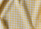 Carolina Gingham - Medium in Yellow