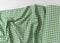 Carolina Gingham - Medium in Green