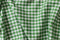 Carolina Gingham - Medium in Green