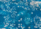 Lei nani For Beautiful Corolla - Open Sky