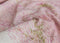 Wild Petal Wind