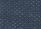 Chambray Union - Dots in Indigo